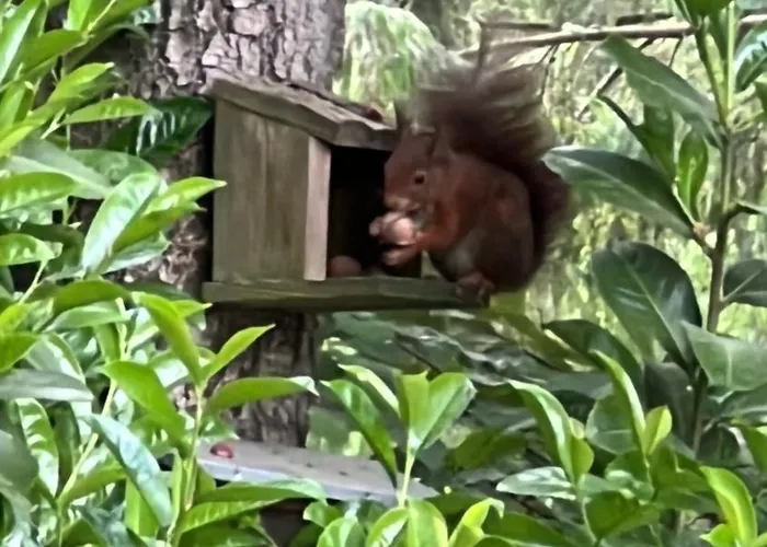 شاليه Royal Romantisch, Uniek En Volledig Prive