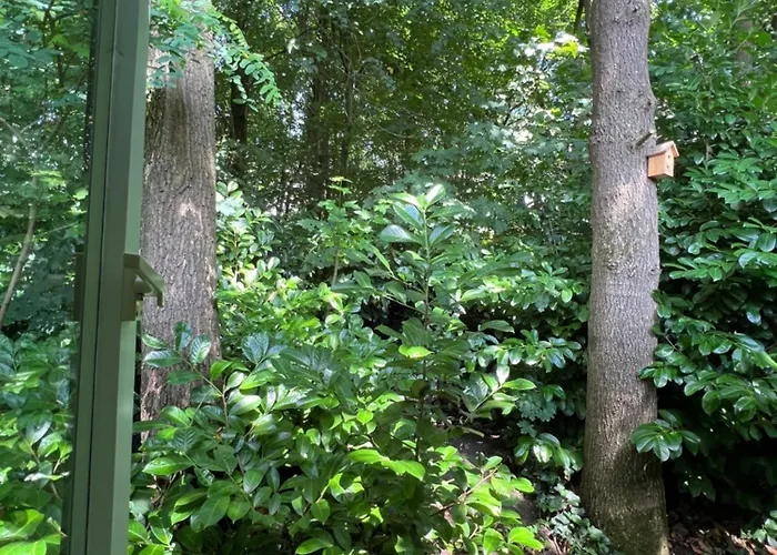 Royal Romantisch, Uniek En Volledig Privé