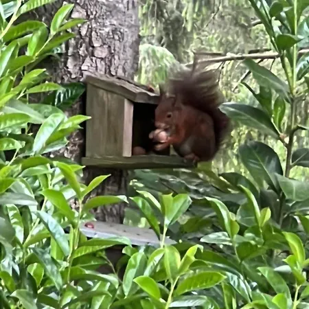 Alpesi faház Royal Romantisch, Uniek En Volledig Prive