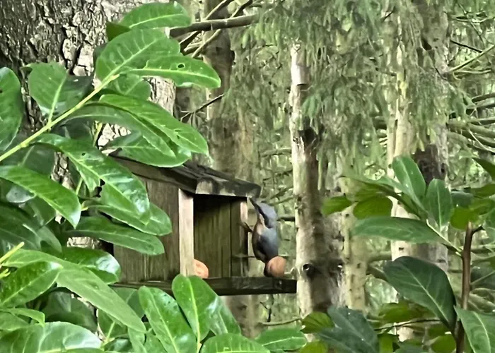 Шале Royal Romantisch, Uniek En Volledig Prive Пюттен